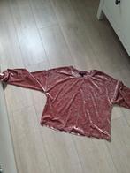 Forever 21 Roze Velvet Top Maat M, Maat 38/40 (M), Ophalen of Verzenden, Zo goed als nieuw, Forever 21