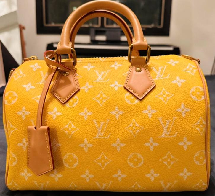 €50-> Speedy P9 bandouliere tas speedy 25 Louis Vuitton LV, Sieraden, Tassen en Uiterlijk, Tassen | Damestassen, Nieuw, Handtas