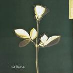 Depeche Mode - Violations (Violator 30th anniversary LP), Verzenden, 2000 tot heden, Zo goed als nieuw, 12 inch