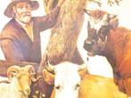 Prent van een man met koeien en schapen 34514, Verzamelen, Ansichtkaarten | Dieren, Ophalen of Verzenden, 1920 tot 1940, Ongelopen