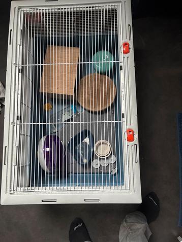 Hamsterkooi beschikbaar voor biedingen