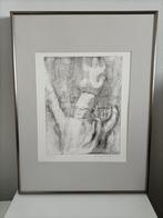 ingelijst grote ets Janny de Leeuw oplage 3 Oosters tafereel, Antiek en Kunst, Kunst | Etsen en Gravures, Ophalen of Verzenden