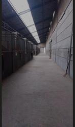 Stalling (Breda), Dieren en Toebehoren, Stalling en Weidegang, Stalling