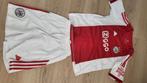 Ajax Tenue Maat 146Zie afmetingen bij de foto's) - Nieuw!, Ophalen of Verzenden, Nieuw, Jongen, Sport- of Zwemkleding