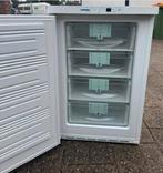 Vriezer liebherr tafelmodel, Gebruikt, 160 cm of meer, Ophalen, Vrieskast