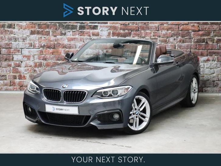 BMW 2 Serie Cabrio 220i High Executive M Sport Pakket Automa, Auto's, BMW, Bedrijf, Te koop, 2-Serie, Airconditioning, Climate control