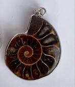Fossiele Ammoniet Hanger, Met hanger, Bruin, Ophalen of Verzenden, Zo goed als nieuw