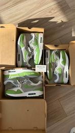 Nike Air Max 1 Patta Chlorophyll (2024) | 42 44.5 45.5 nieuw, Ophalen of Verzenden, Nieuw, Overige kleuren