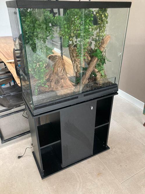 Terrarium hoog met kast, Dieren en Toebehoren, Reptielen en Amfibieën | Toebehoren, Gebruikt, Terrarium of Paludarium, Ophalen of Verzenden