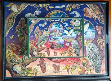 Cobble Hill - Owl Magic beschikbaar voor biedingen