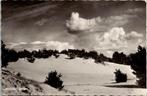 Udenhout - Udenhoutse Duinen jaren 60, Verzamelen, Ansichtkaarten | Nederland, Verzenden, 1960 tot 1980, Gelopen, Noord-Brabant