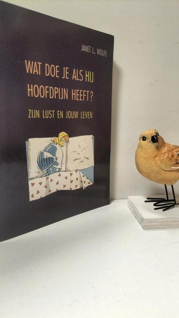 Wolfe, Janet L.; Wat doe je als hij hoofdpijn heeft? beschikbaar voor biedingen