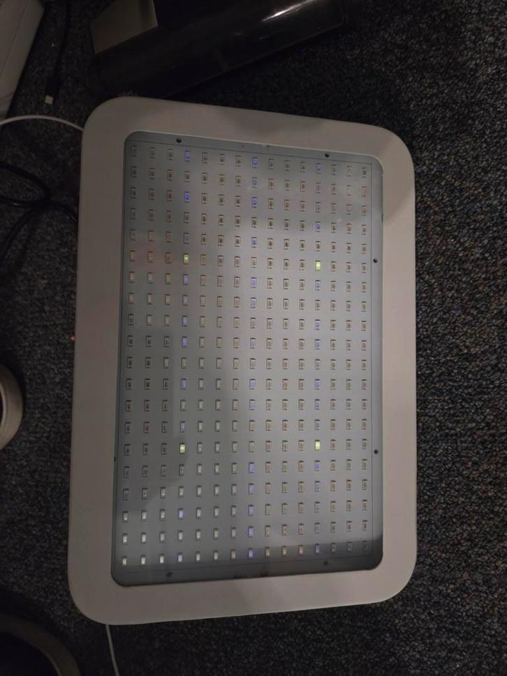 LED Kweeklamp - Krachtig en Efficiënt!, Tuin en Terras, Kweekspullen, Gebruikt, Kweeklamp, Ophalen of Verzenden