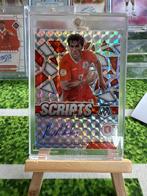 Panini Mosaic Ruud van nistelrooy Auto, Eén persoon