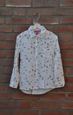 blouse 122,128, top 122,128, kinderkleding 122,128, Kinderen en Baby's, Kinderkleding | Maat 122, Meisje, Overhemd of Blouse, Ophalen of Verzenden