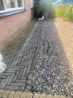 Gratis klinkers 5 m2, Tuin en Terras, Tegels en Klinkers, Gebruikt, Ophalen, Klinkers