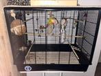 Grote vogelkooi zonder de inhoudt, Ophalen of Verzenden, Vogelkooi