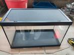 Aquarium of terrarium 40x20x24, Ophalen, Leeg aquarium