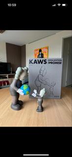 Kaws The Promise Brown, Ophalen of Verzenden