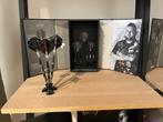 michael smith noir, Sport en Fitness, Darts, Ophalen of Verzenden, Zo goed als nieuw, Pijlen