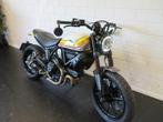 Ducati SCRAMBLER 800 MACH 2.0 TERMIGNONI! (bj 2018), Motoren, Motoren | Ducati, Bedrijf, Toermotor, 799 cc