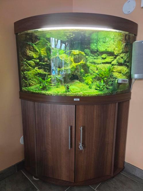 Hoekaquarium Juwel met onderkast, Dieren en Toebehoren, Vissen | Aquaria en Toebehoren, Gebruikt, Leeg aquarium, Ophalen