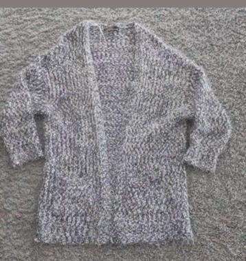 warm mooi vest maat L beschikbaar voor biedingen