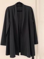 Zwart vest jasje maat xl, Ophalen of Verzenden, Zo goed als nieuw, Maat 46/48 (XL) of groter, Zwart