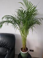 planten, Ophalen, Overige soorten