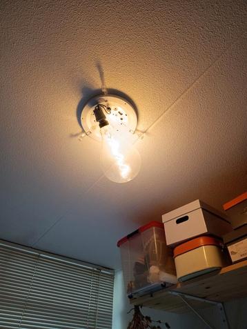 Hansen Dna gloeilamp beschikbaar voor biedingen