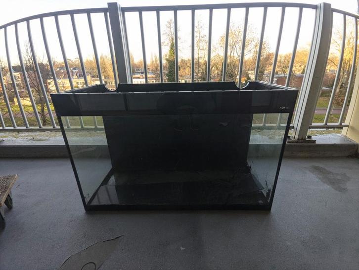Aquarium 100cm, Dieren en Toebehoren, Hondenhokken, Minder dan 65 cm, Ophalen