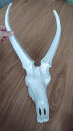 Stierenhoofd Skelet Decoratie, Ophalen, Gebruikt