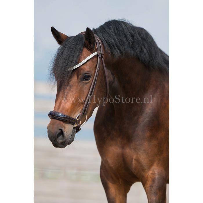 Priemiera novara lage neusriem cob bruin, Dieren en Toebehoren, Paarden en Pony's | Hoofdstellen en Tuigage, Gebruikt, Dressuur