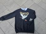 Harry potter trui maat 146, Gebruikt, C&A, Meisje, Trui of Vest