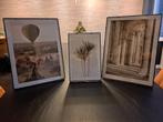 Prachtige ingelijste posters in natureltinten, Ophalen, Overige materialen, 50 tot 75 cm, Zo goed als nieuw