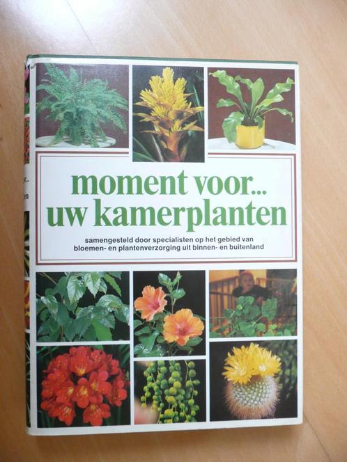 Moment voor uw kamerplanten, Boeken, Wonen en Tuinieren, Zo goed als nieuw, Kamerplanten, Ophalen