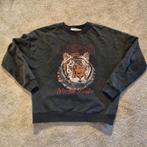 Costes Trui - Maat S, Costes, Ophalen of Verzenden, Zo goed als nieuw, Maat 36 (S)