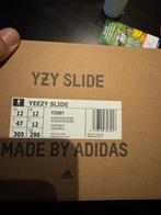 Yeezy Slide Bone US12 - Nieuw, Kleding | Heren, Schoenen, Ophalen of Verzenden, Nieuw, Overige kleuren, Slippers