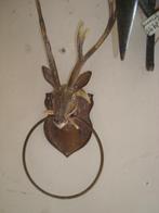 hertenkopje met ring evt voor handoek, Ophalen of Verzenden