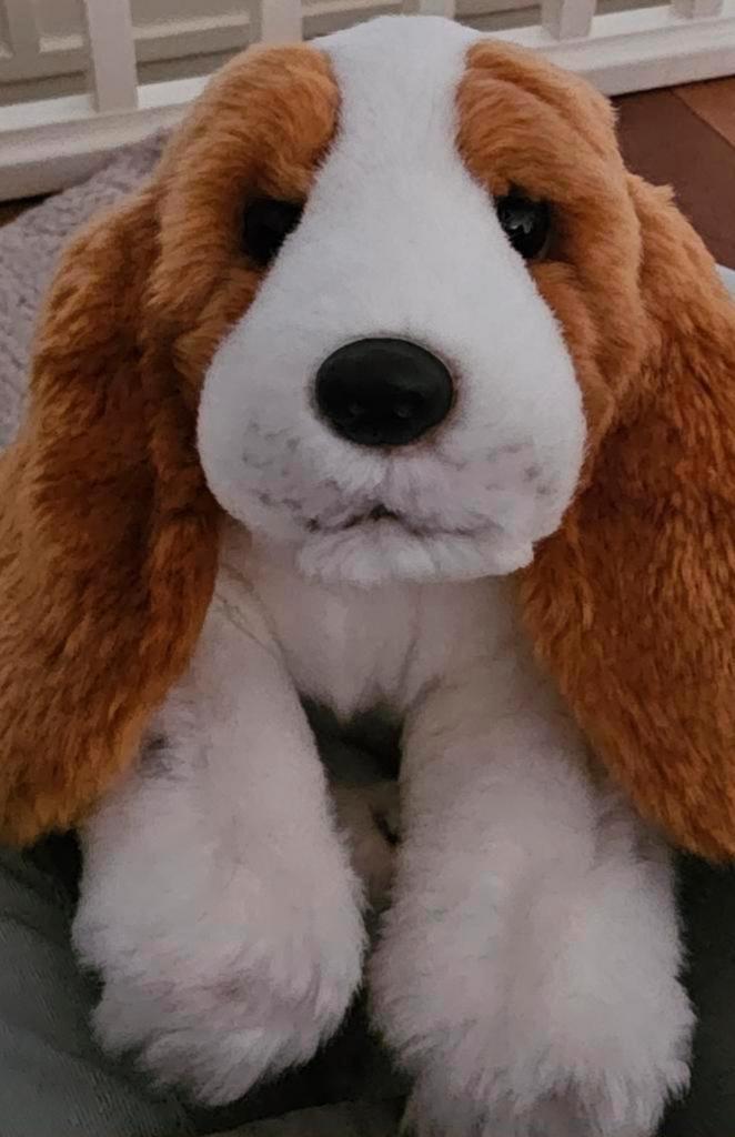 Beagle hondje- grote oren- Anna Club plush- verzend ook, Kinderen en Baby's, Speelgoed | Knuffels en Pluche, Zo goed als nieuw