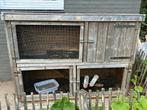 Buiten hok met dwergkonijn, Dieren en Toebehoren, Knaagdieren en Konijnen | Hokken en Kooien, Ophalen, 110 cm of meer, Zo goed als nieuw
