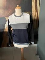 COS herensweater maat M, Ophalen of Verzenden, Zo goed als nieuw, Cos, Maat 48/50 (M)