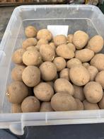 Pootaardappels, Ophalen of Verzenden, Voorjaar, Volle zon, Knol