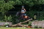 A tm d pony's beleren en doorrijden, Ophalen of Verzenden
