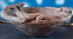Indonesische Terra-cotta schaal met varanen. 32/13 cm., Huis en Inrichting, Woonaccessoires | Schalen en Manden, Ophalen, Porselein of Keramiek