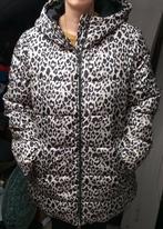 nieuwe dames winter jas van vila, Ophalen of Verzenden, Nieuw