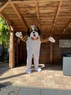 masked singer of vossenjacht leuke dieren mascotte pakken, Ophalen of Verzenden, Zo goed als nieuw, Overige