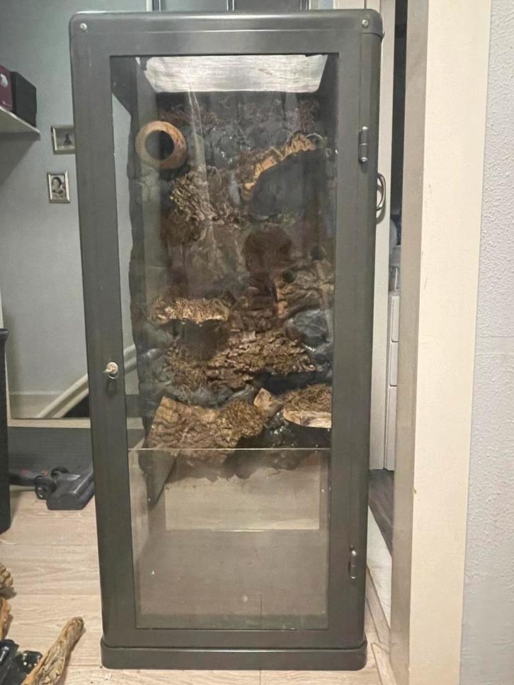 Ikea vitrine kast terraruim, Dieren en Toebehoren, Reptielen en Amfibieën | Toebehoren, Gebruikt, Terrarium of Paludarium, Ophalen