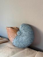 Vintage ceramic wandvaasje schelp vorm b18cm, Huis en Inrichting, Woonaccessoires | Vazen, Overige kleuren, Aardewerk of Porselein