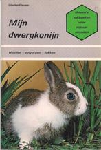 Mijn dwergkonijn - Günther Flauaus, Gelezen, Ophalen of Verzenden, Günther Flauaus, Konijnen of Knaagdieren